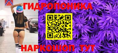 гашик Чапаевск