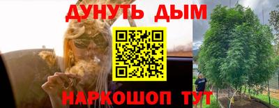 гашик Чапаевск