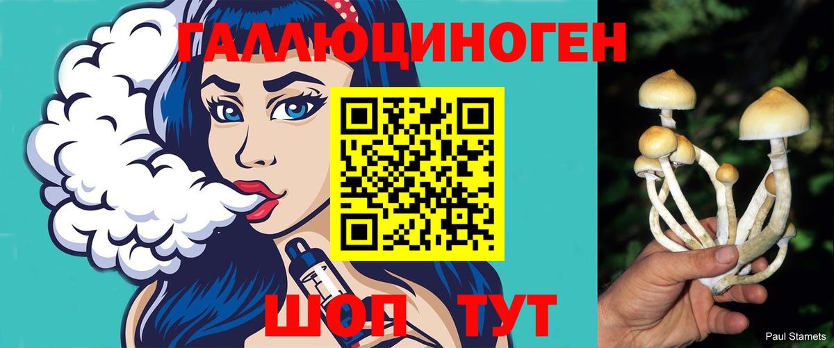 где найти наркотики  Вход с VPN  Сланцы  Псилоцибиновые грибы MAGIC MUSHROOMS 