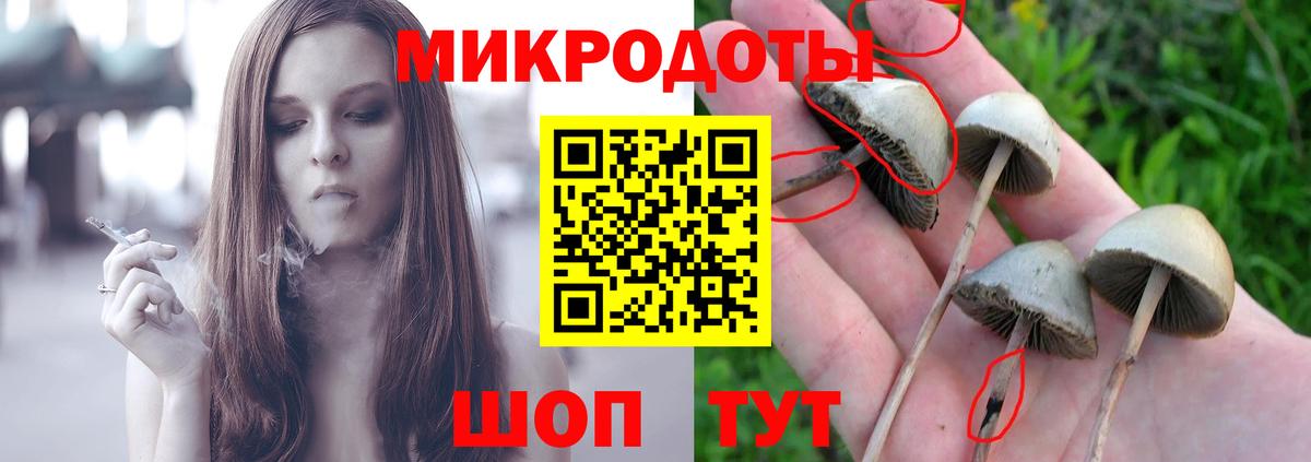 Каннабис Сланцы